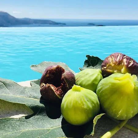 Luxury Fig With Pool And Jacuzzi Near Dubrovnik Villa *