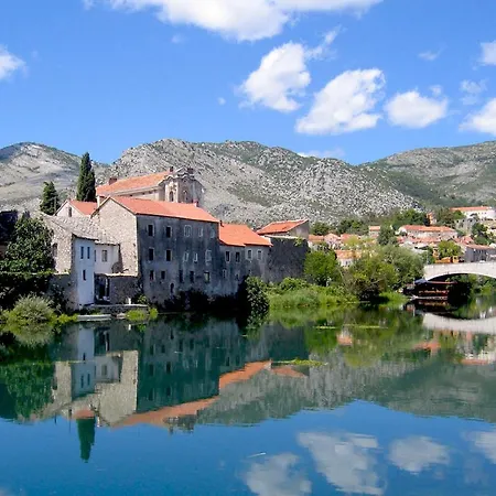 Luxury Fig With Pool And Jacuzzi Near Dubrovnik Villa Ivanica