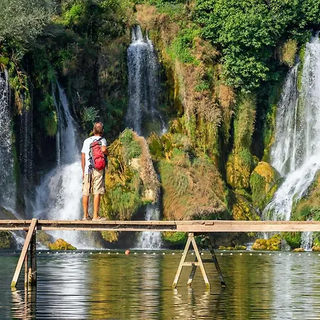 Luxury Fig With Pool And Jacuzzi Near Dubrovnik *