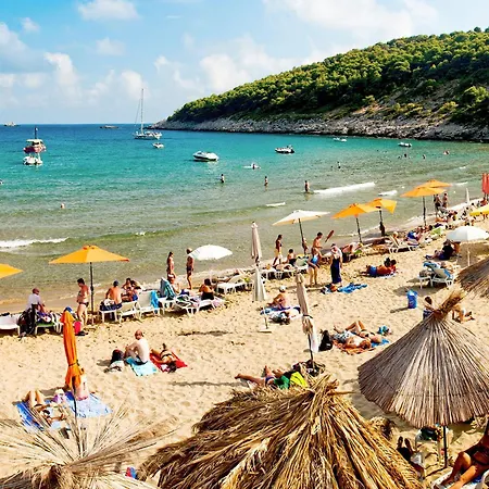 Luxury Fig With Pool And Jacuzzi Near Dubrovnik Villa *