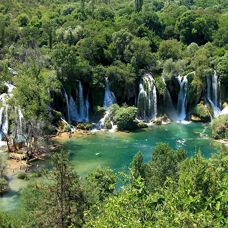 Luxury Fig With Pool And Jacuzzi Near Dubrovnik Villa Ivanica